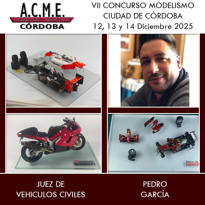 JURADO VEHÍCULOS CIVILES